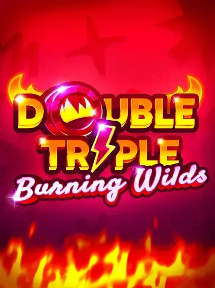 DOUBLE TRIPLE BURNING WILDS slot game
